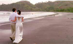 honneymoon/tropicalbeachhoneymoon.htm