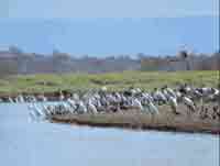 Cao Negro National Wildlife Refuge