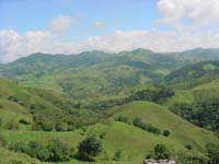 Monteverde