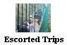 Escorted Trips